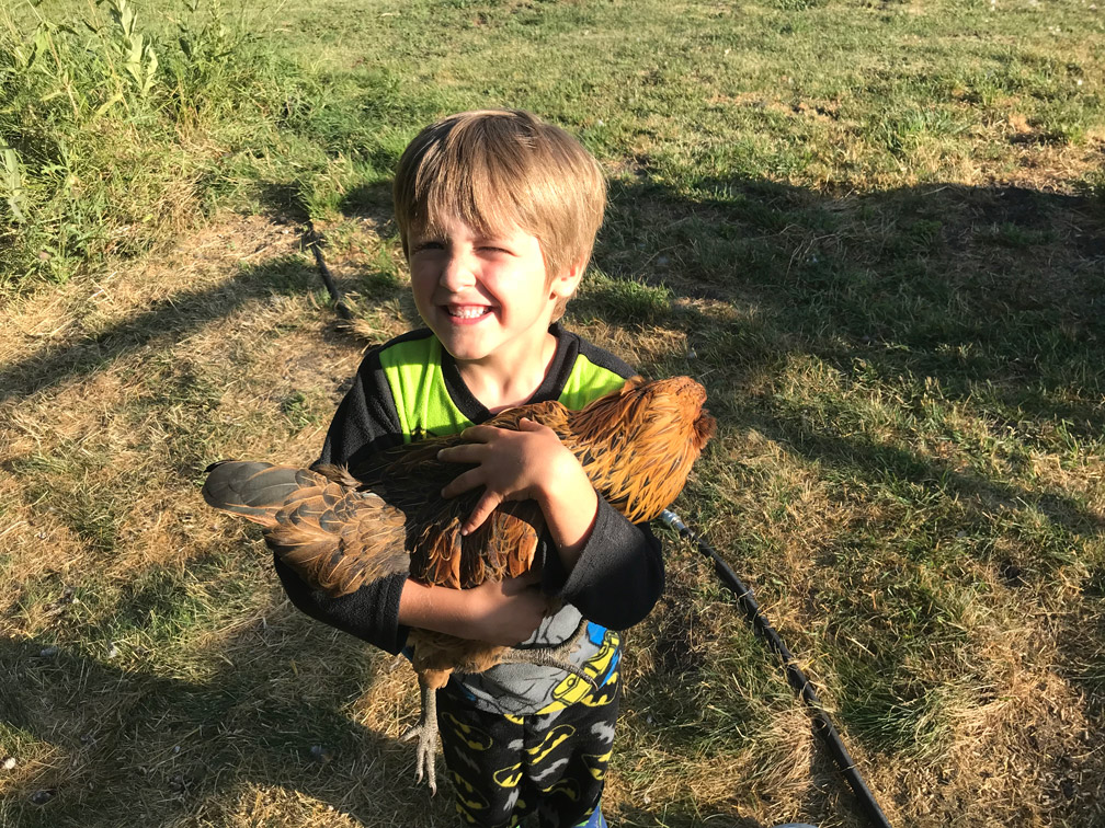 Kid With Chicken at Almosta Farm Cove Oregon
