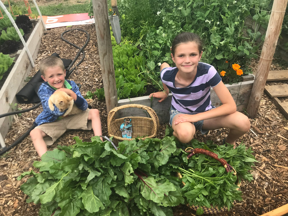 Kids and Cats in the Garden at Almosta Farm Cove Oregon