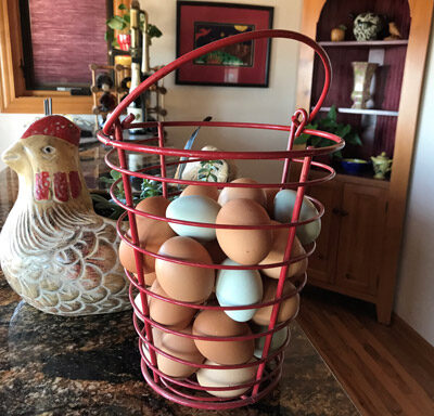 Farm fresh eggs available for sale at Almosta Farm in Cove, Oregon. Free range hens are happy hens and lay healthy eggs