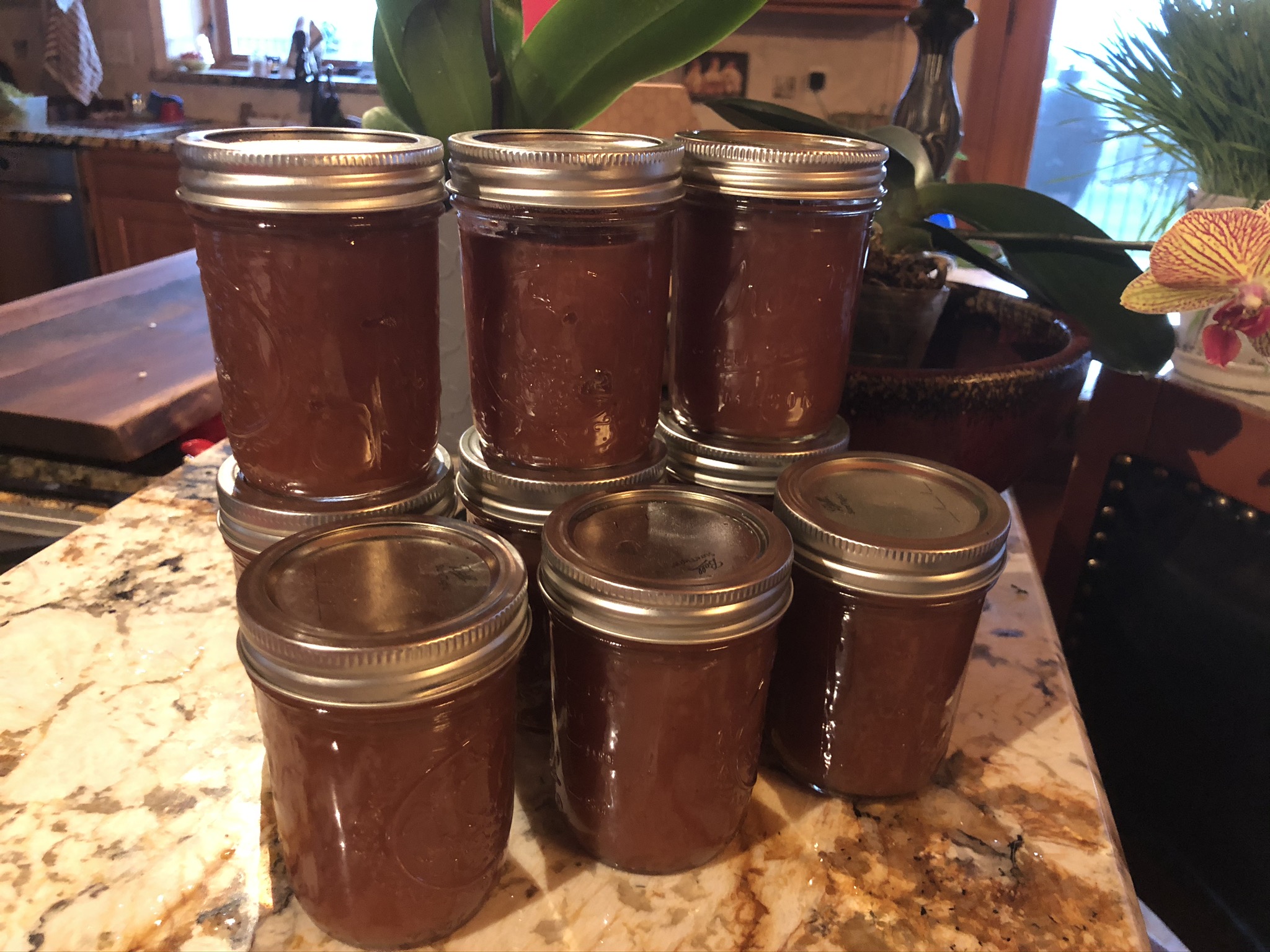 What to do with those old apples – APPLE BUTTER